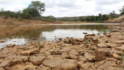 estado-e-188-cidades-da-pb-devem-apresentar-plano-de-combate-a-desertificacao-em-45-dias