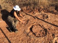 novas-pegadas-de-dinossauros-sao-descobertas-por-cientistas-no-sertao-da-paraiba