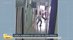 video-flagra-agressao-contra-cadela-em-joao-pessoa;-suspeito-do-crime-e-autuado-por-maus-tratos