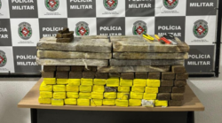 casal-e-preso-com-cerca-de-100-kg-de-drogas-em-joao-pessoa