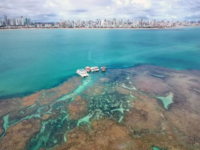 como-joao-pessoa-foi-de-capital-‘esquecida’-a-nova-‘queridinha’-do-verao-do-nordeste